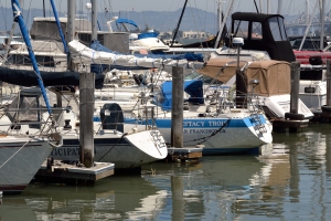 Boats on the Pier 39 marina
